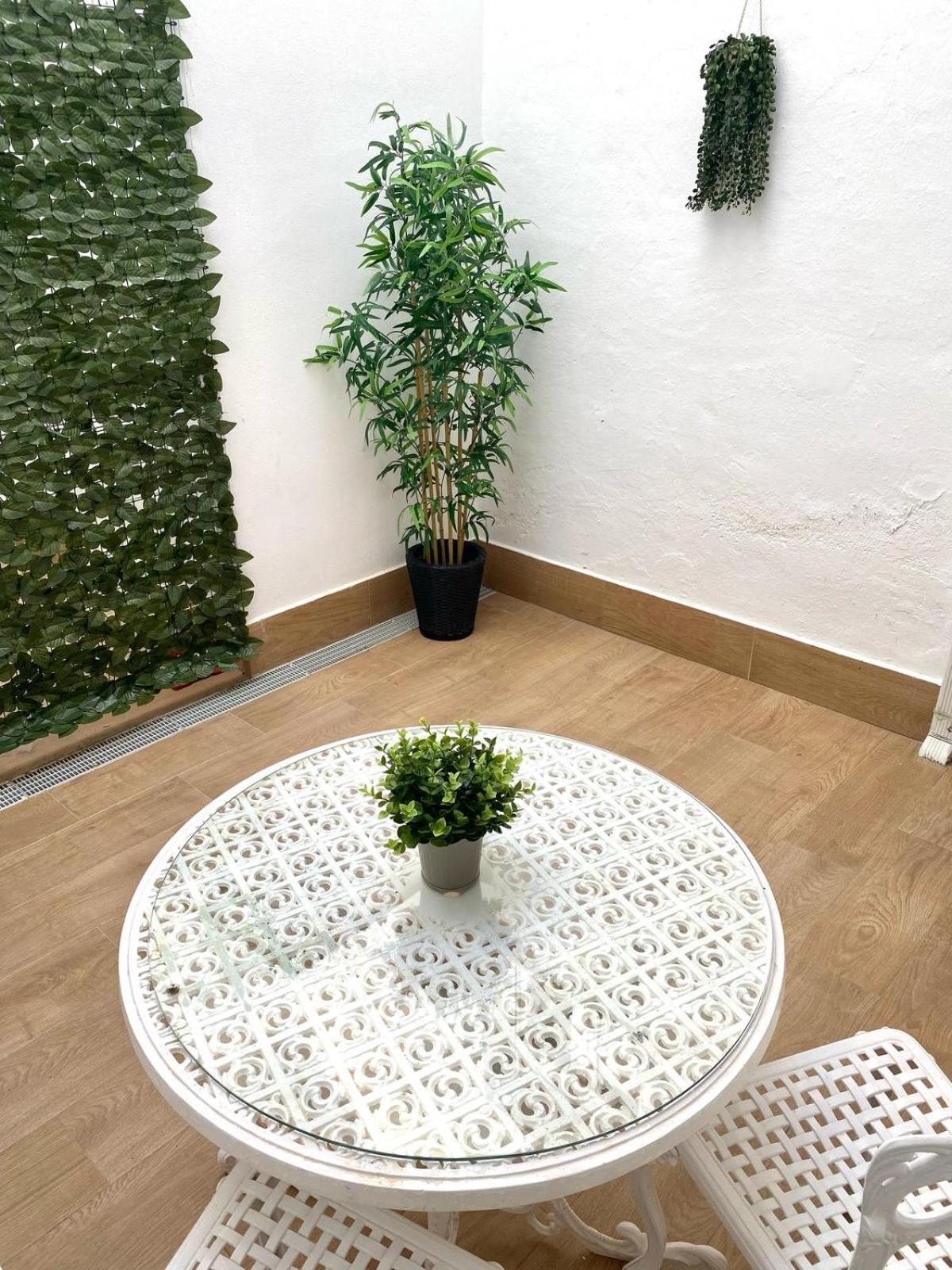 Apartament Cibeles Centro Historico, Nuevo Establecimiento